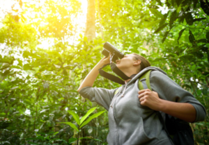 Birdwatching in fiji