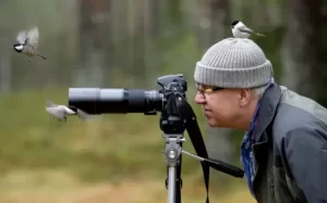 Birdwatching in Fiji