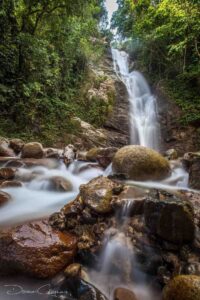 Discover Fiji's