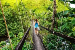 Fiji National Parks