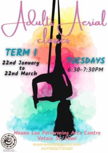 Adults Aerial Classes